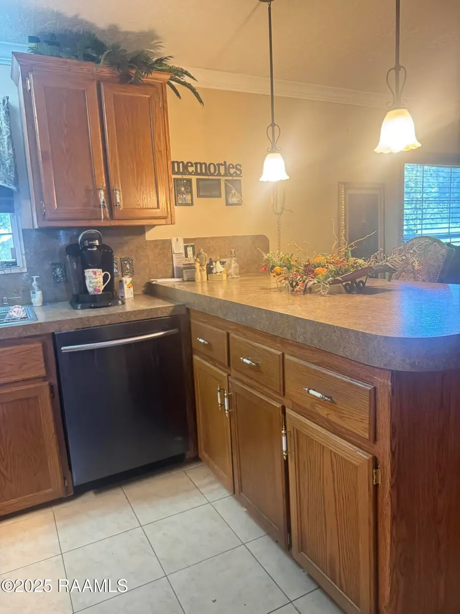 2431 Olds Road Road, Erath, LA 70533 - #3