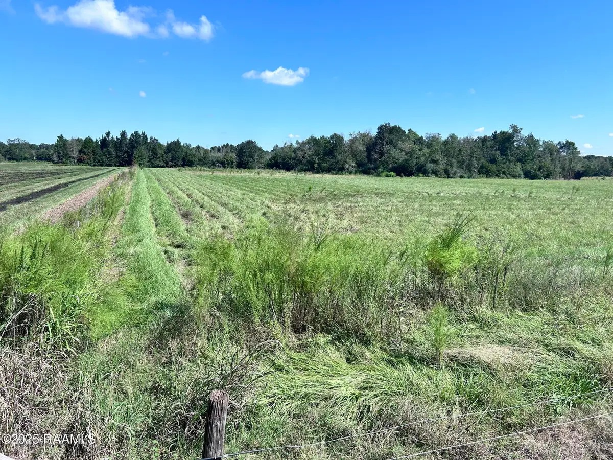 0 Curleys Road, Sunset, LA 70584 - #1