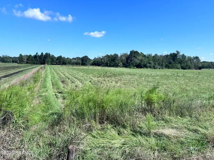 0 Curleys Road, Sunset, LA 70584 - #3