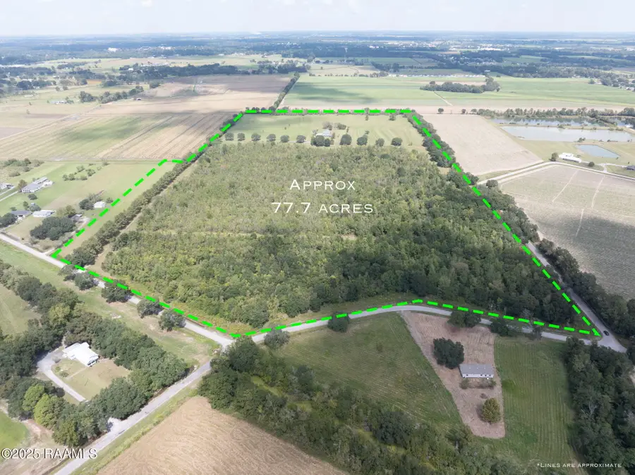 15011 S Guegnon Street, Abbeville, LA 70510 - #2