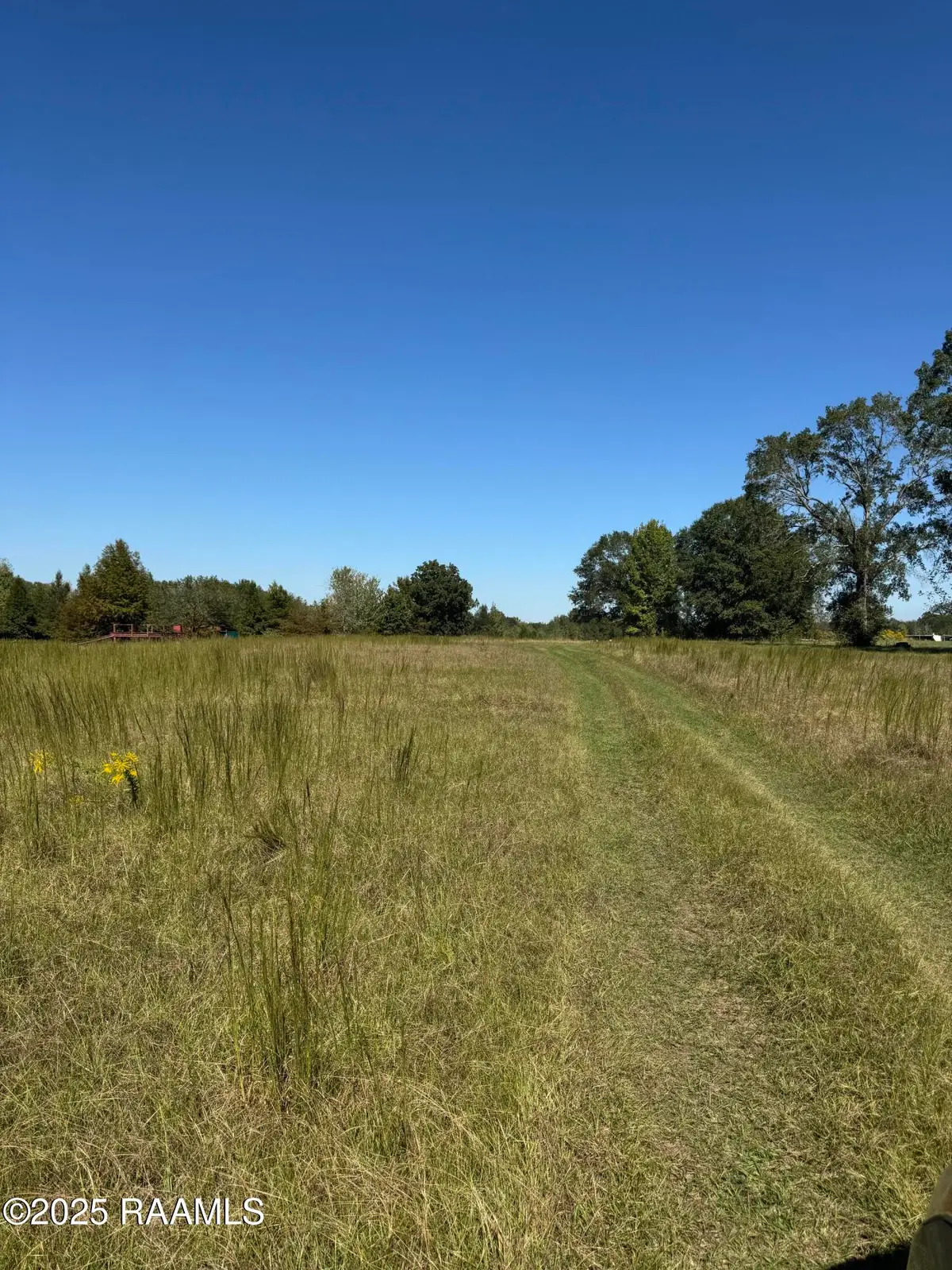 000 Pointe Verte, Washington, LA 70589 - #1