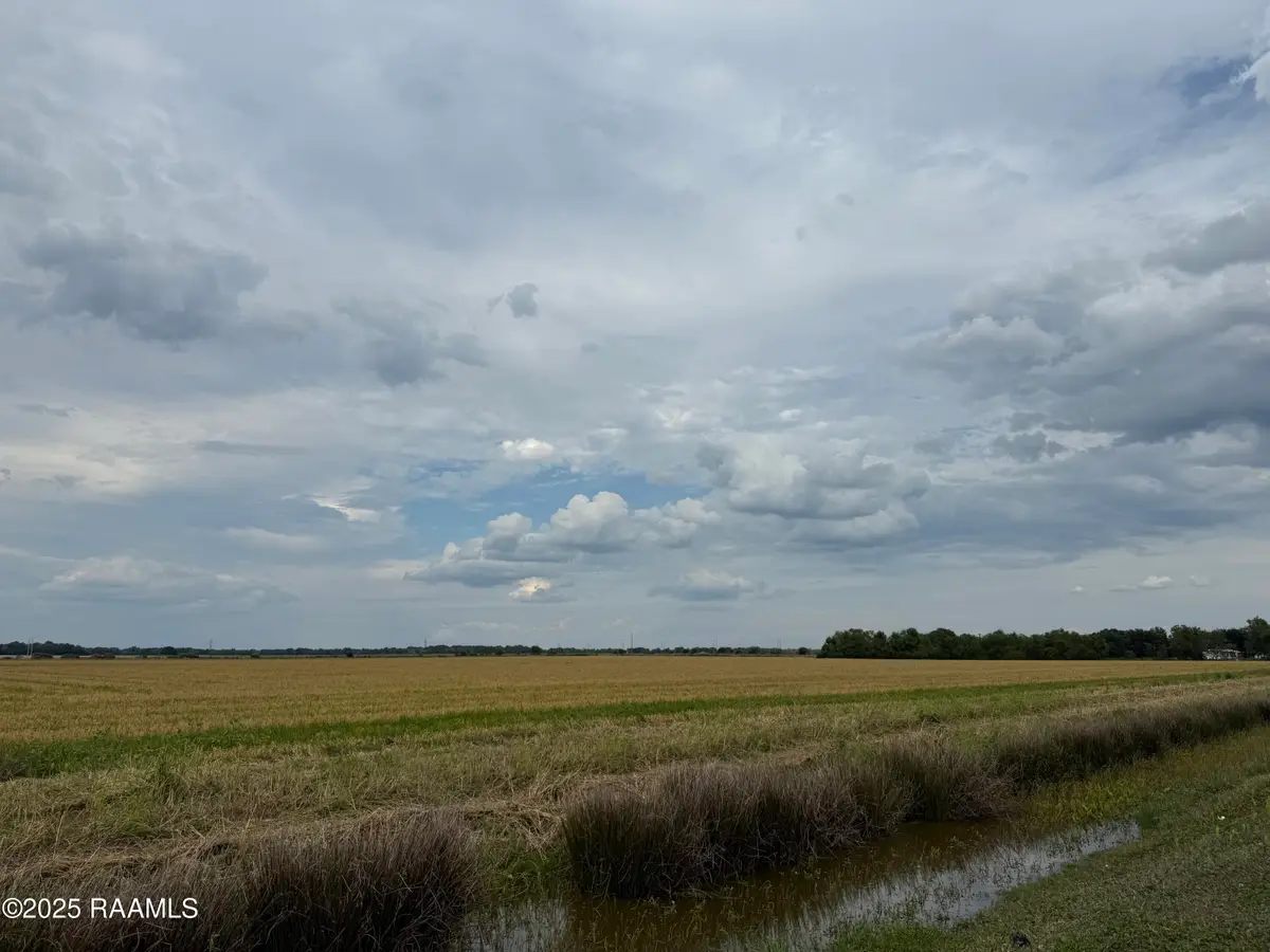 Tbd White Oak Road, Branch, LA 70516 - #1