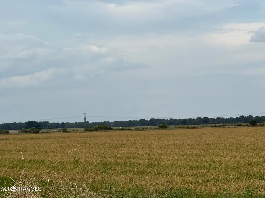 Tbd White Oak Road, Branch, LA 70516 - #3