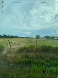 Tbd Trailwood Road, Kaplan, LA 70548