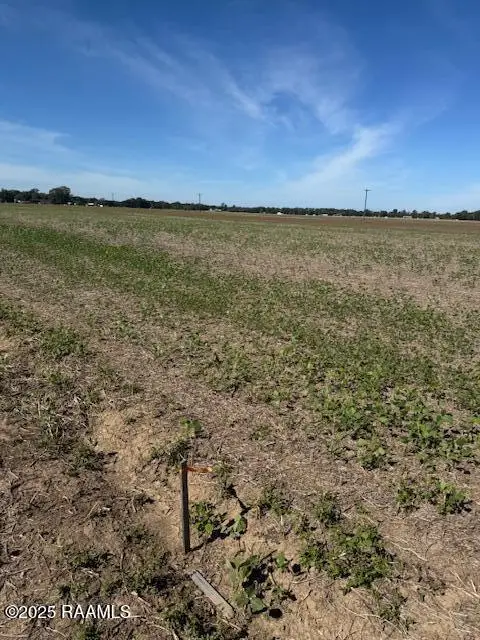 La-31 #1-A-5, Arnaudville, LA 70512 - #1