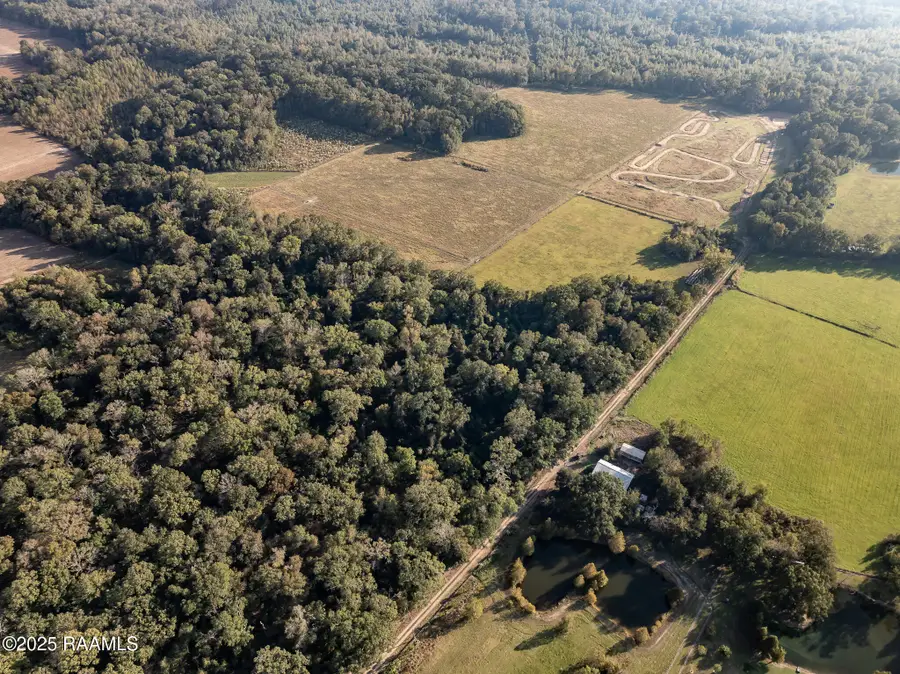 Gardenia Road, Washington, LA 70589 - #3