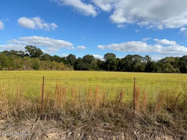 1 Wisdom Road, Opelousas, LA 70570 - #3