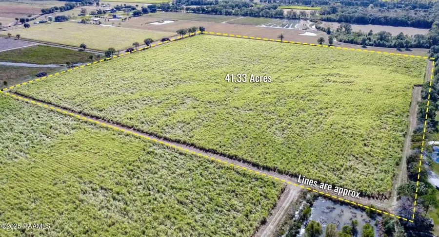 Tbd Theriot Road, Maurice, LA 70555 - #2