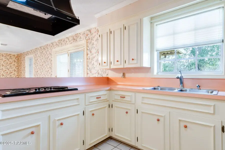 401 Rain Tree Trail, Lafayette, LA 70507 - #3