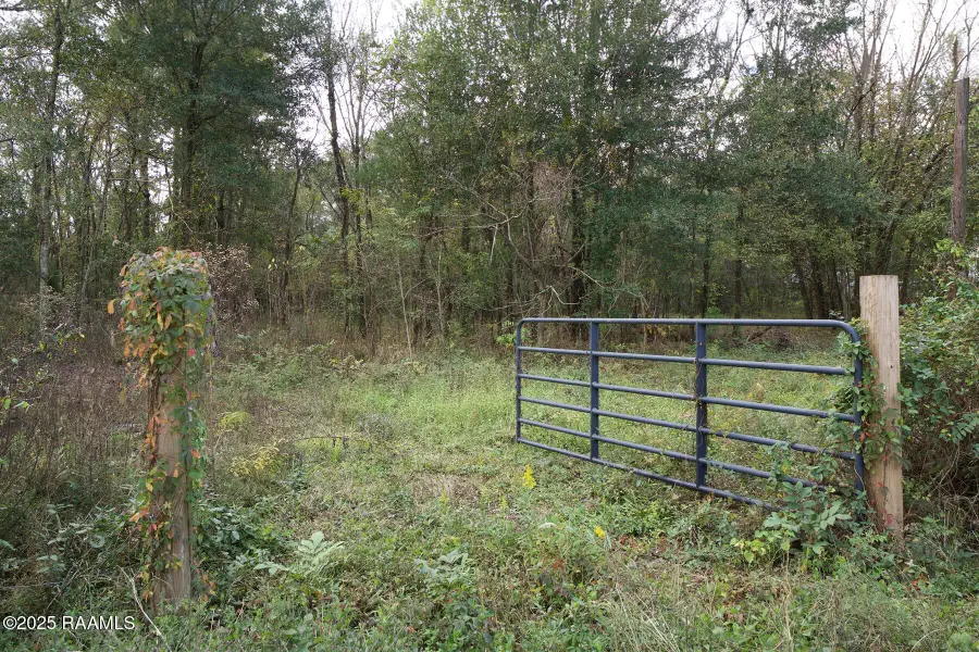1864 Bushville Highway, Arnaudville, LA 70512 - #2
