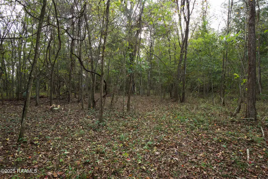 1864 Bushville Highway, Arnaudville, LA 70512 - #3