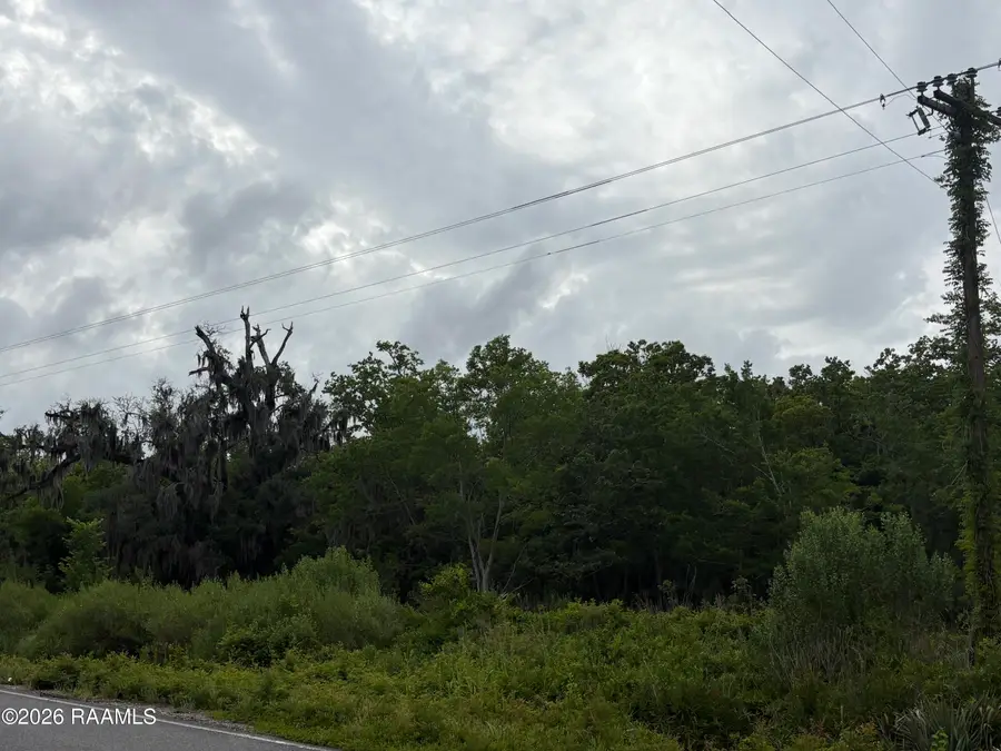 Tbd La State Highway 333, Abbeville, LA 70510 - #2