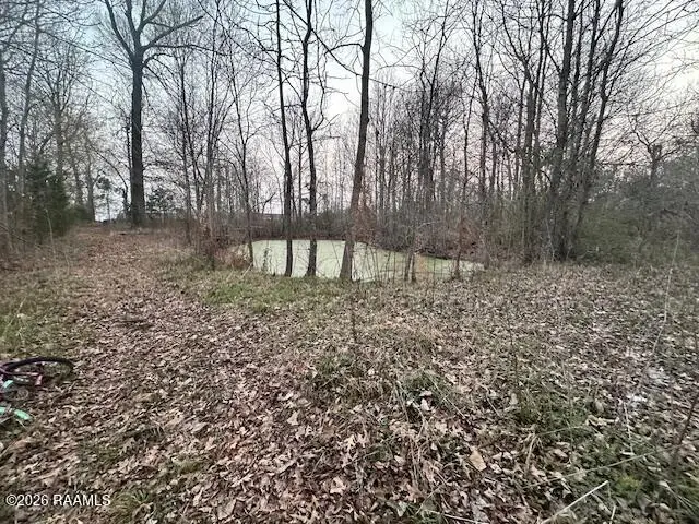 304 Saint John Avenue, Opelousas, LA 70570 - #2