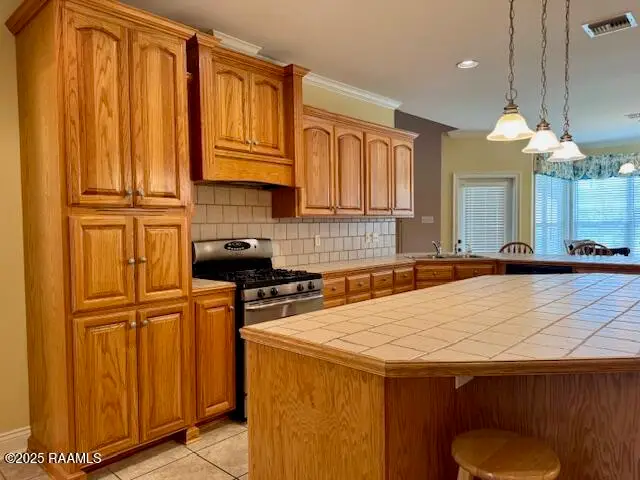 1507 Nesbitt Drive, New Iberia, LA 70560 - #3