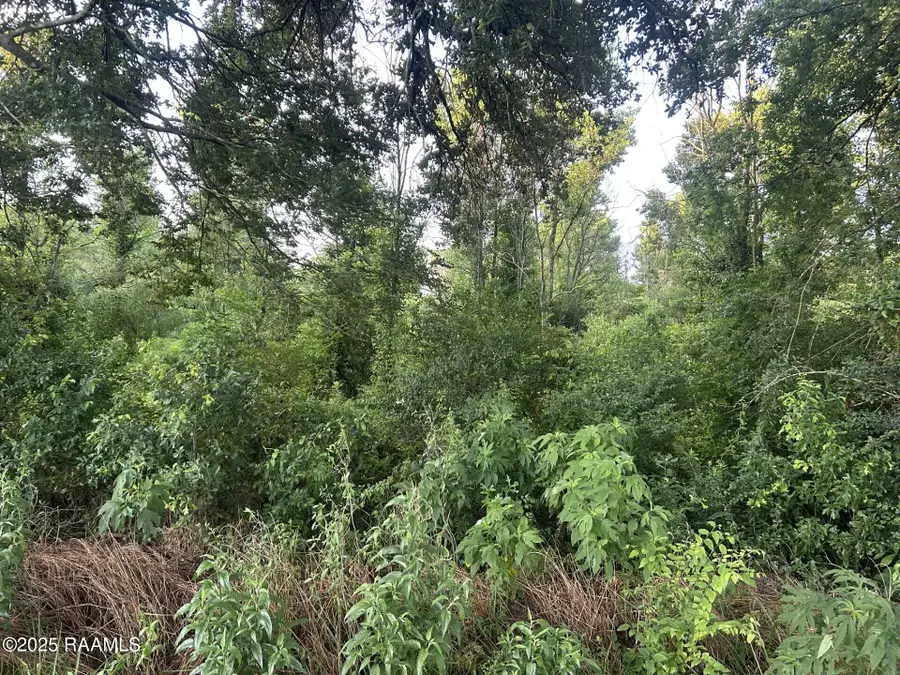 Tbd Bienville Road, Ville Platte, LA 70586 - #2