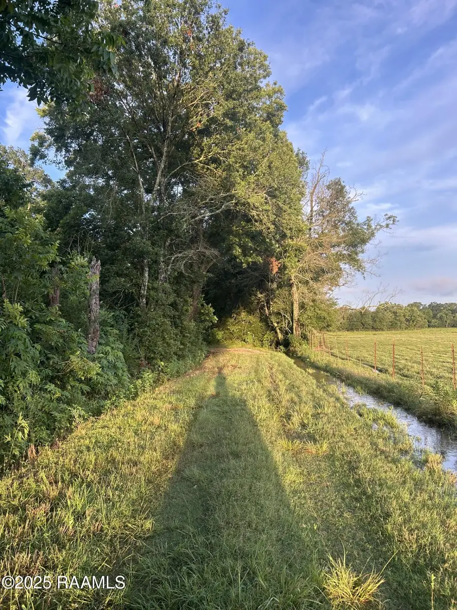 Tbd Bienville, Ville Platte, LA 70586 - #2