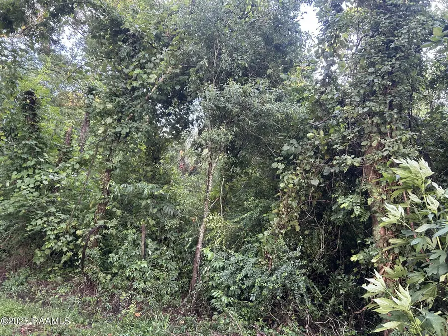 Tbd Bienville, Ville Platte, LA 70586 - #3