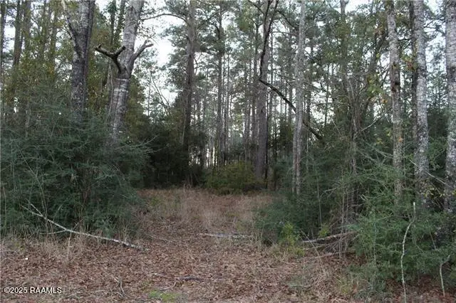 0 E East River Road, Glenmora, LA 71433 - #3