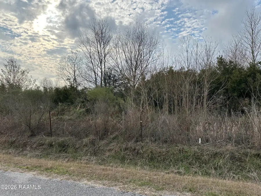 Bourque Road, Gueydan, LA 70542 - #2