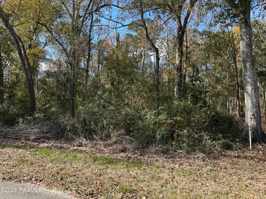 Hoffpauir Road, Gueydan, LA 70542 - #2