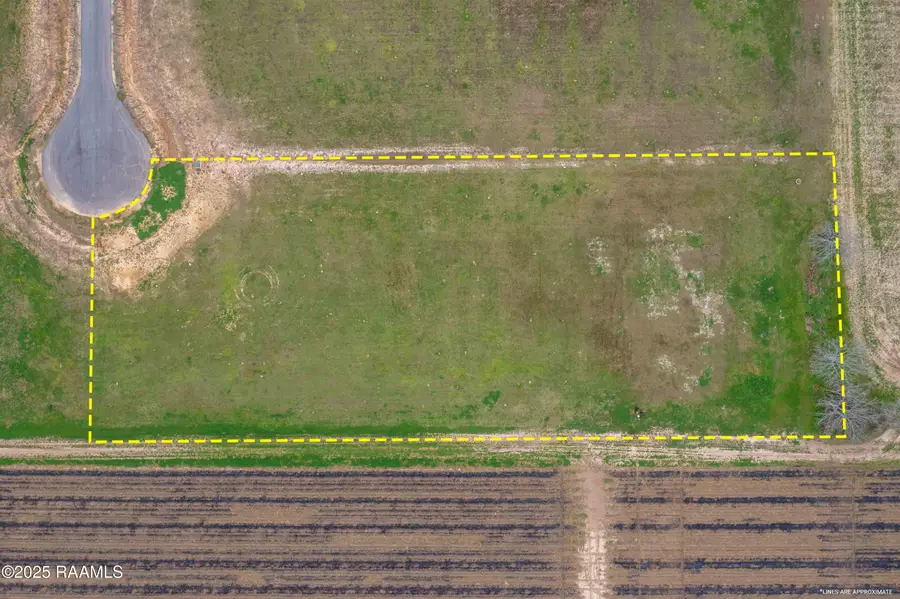 3902 Chemin Belle Terre, Maurice, LA 70555 - #2