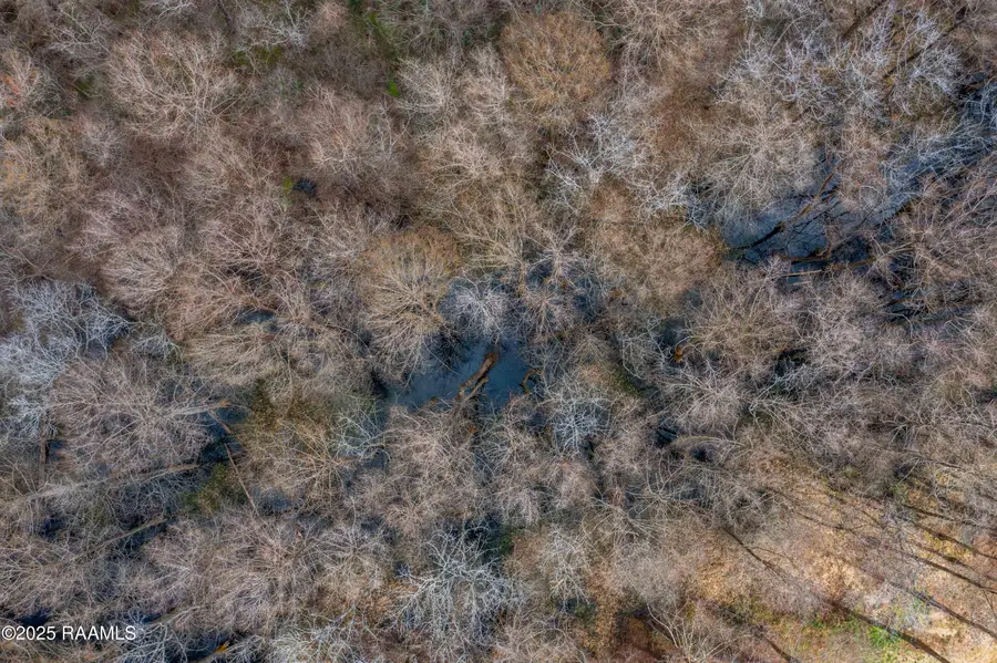 Tbd La-347, Arnaudville, LA 70512 - #3