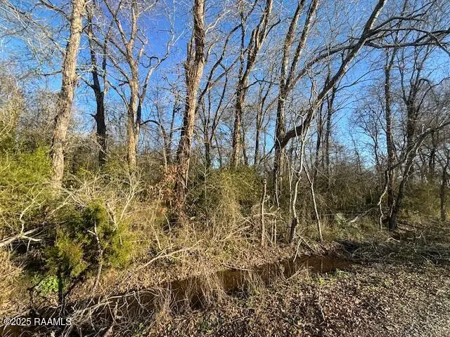 Heard Sylvester Road, Washington, LA 70589 - #2