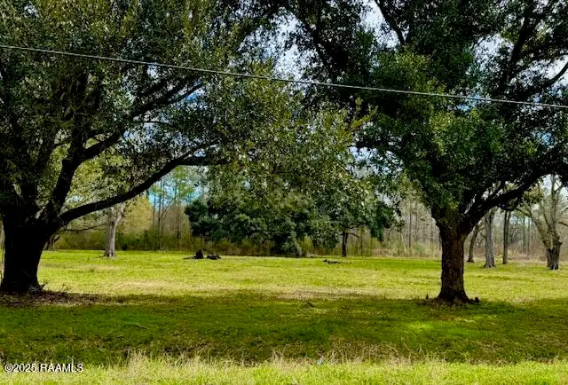 Tbd 5th Street (tract 4), Iota, LA 70543 - #3
