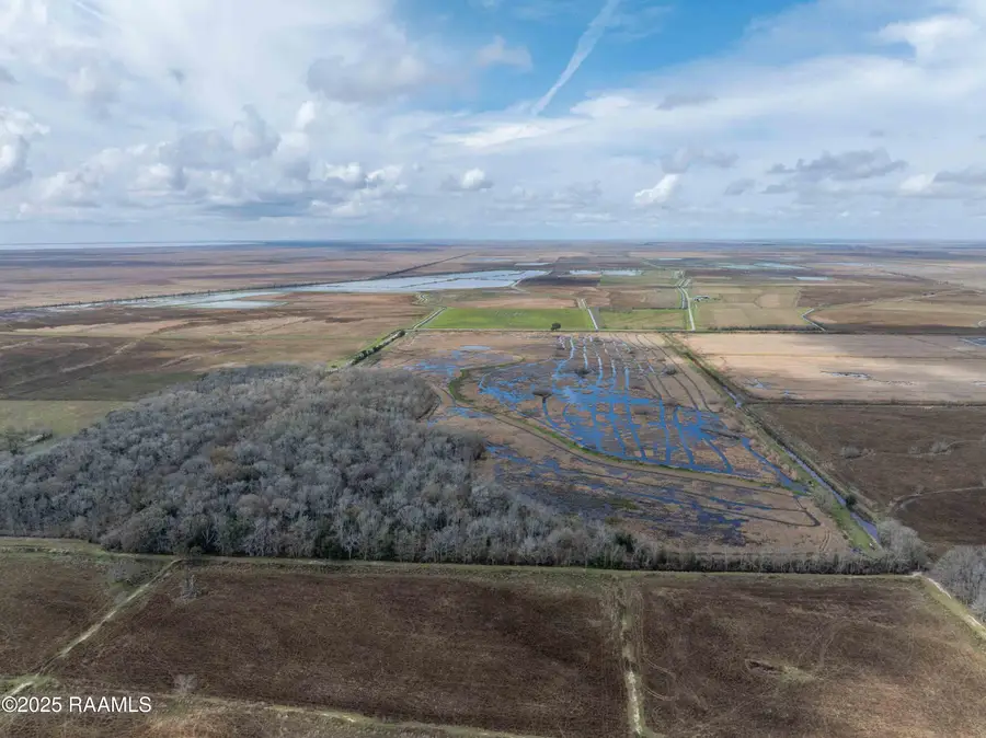 003 Couvillion Road, Abbeville, LA 70510 - #3