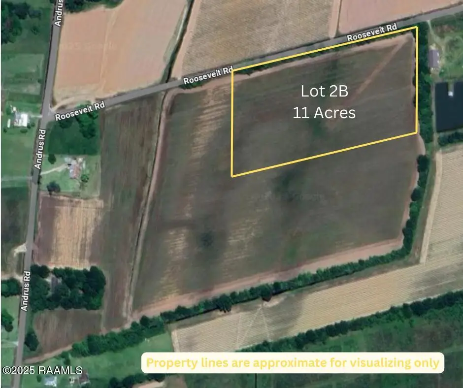 Roosevelt Road, Maurice, LA 70555 - #1