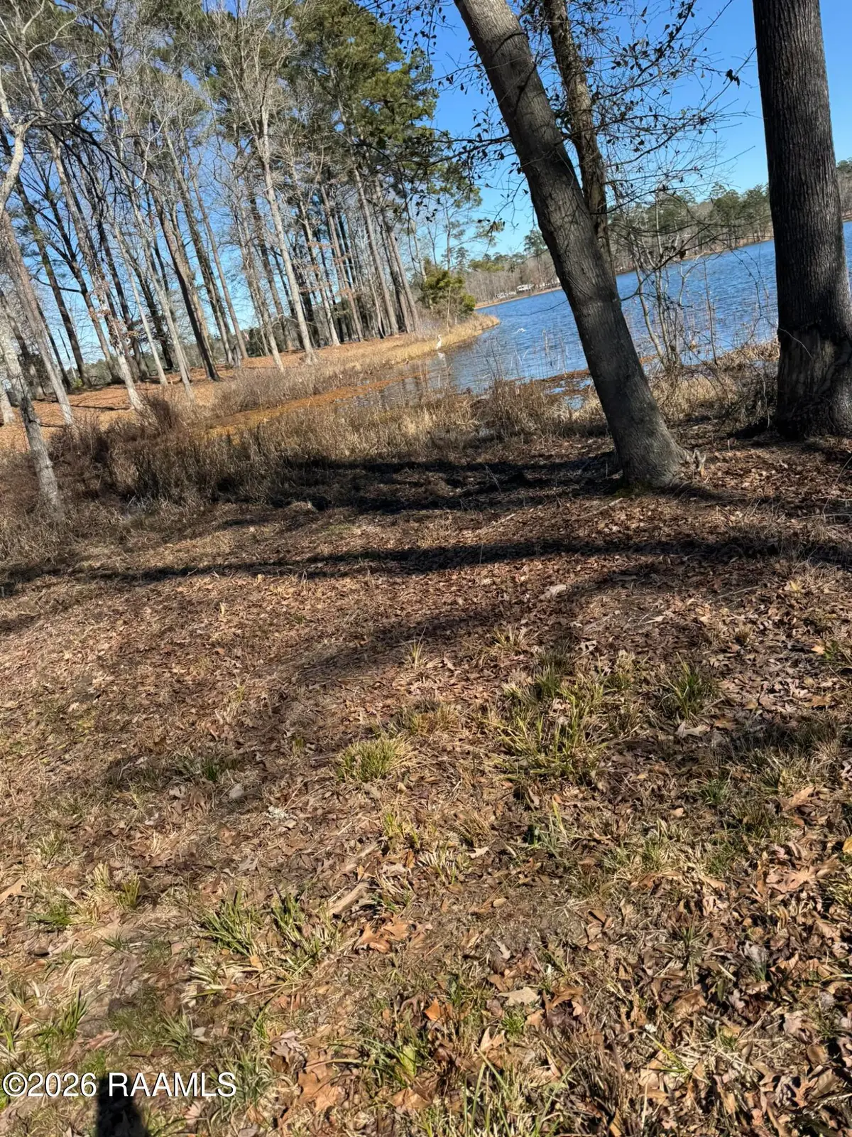 Lot 3 Ramsey Road, Chatham, LA 71226 - #1