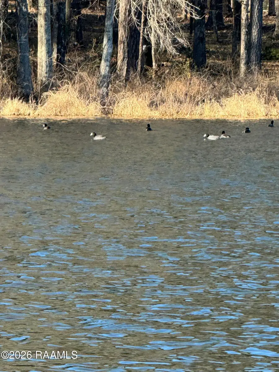 Lot 1 Ramsey Rd, Chatham, LA 71226 - #2