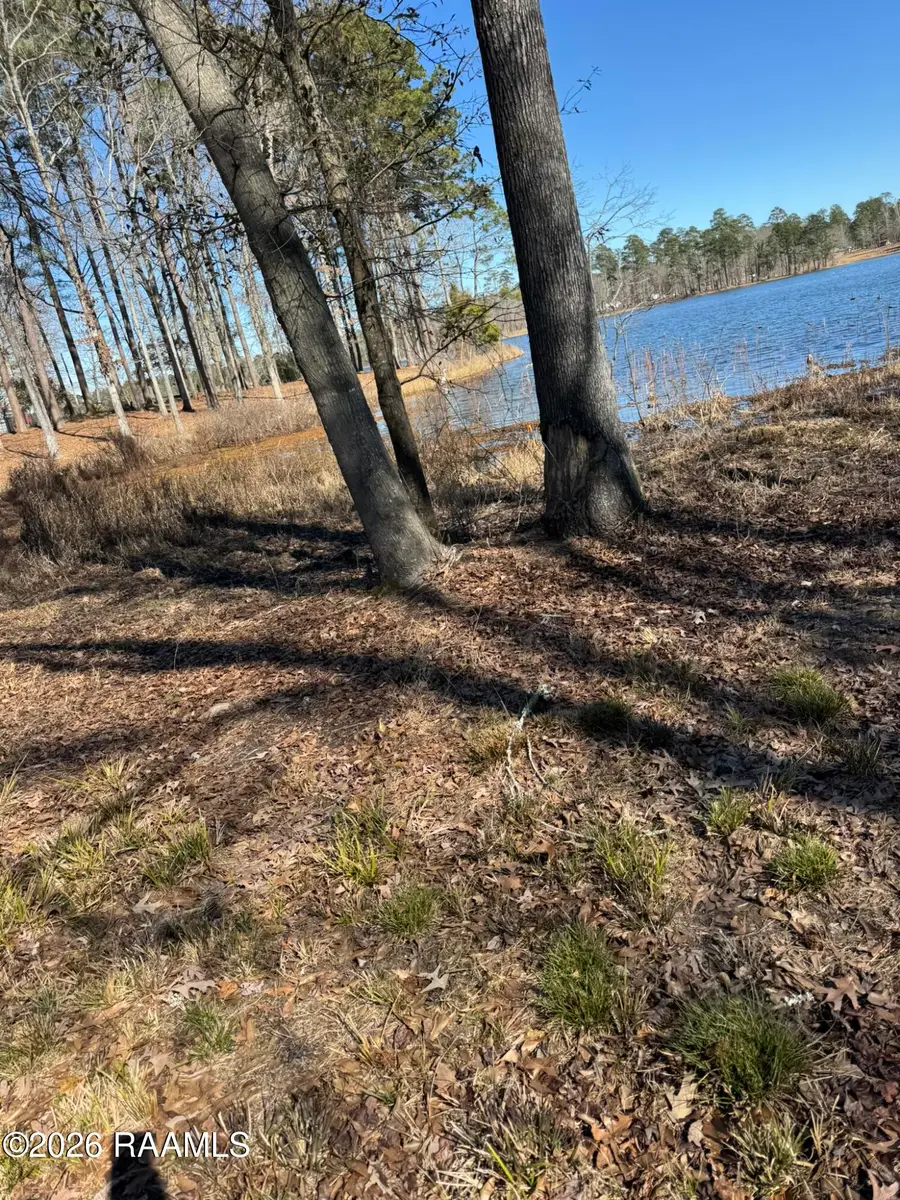 Lot 12 Ramsey Rd, Chatham, LA 71226 - #2