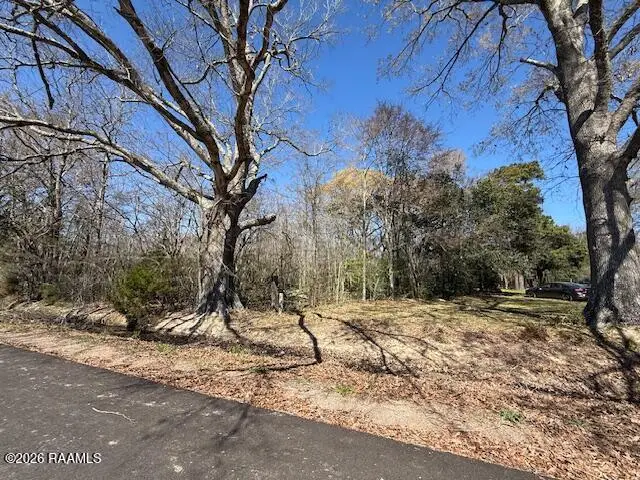 919 Heidi B Road, Opelousas, LA 70570 - #1
