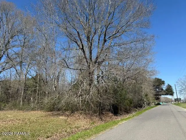 919 Heidi B Road, Opelousas, LA 70570 - #3