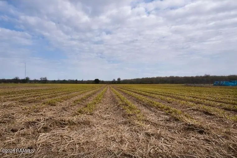 673 Yokley Road, Franklin, LA 70538 - #3