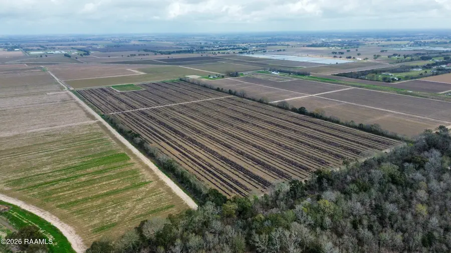 14001 W Etienne Road, Maurice, LA 70555 - #2