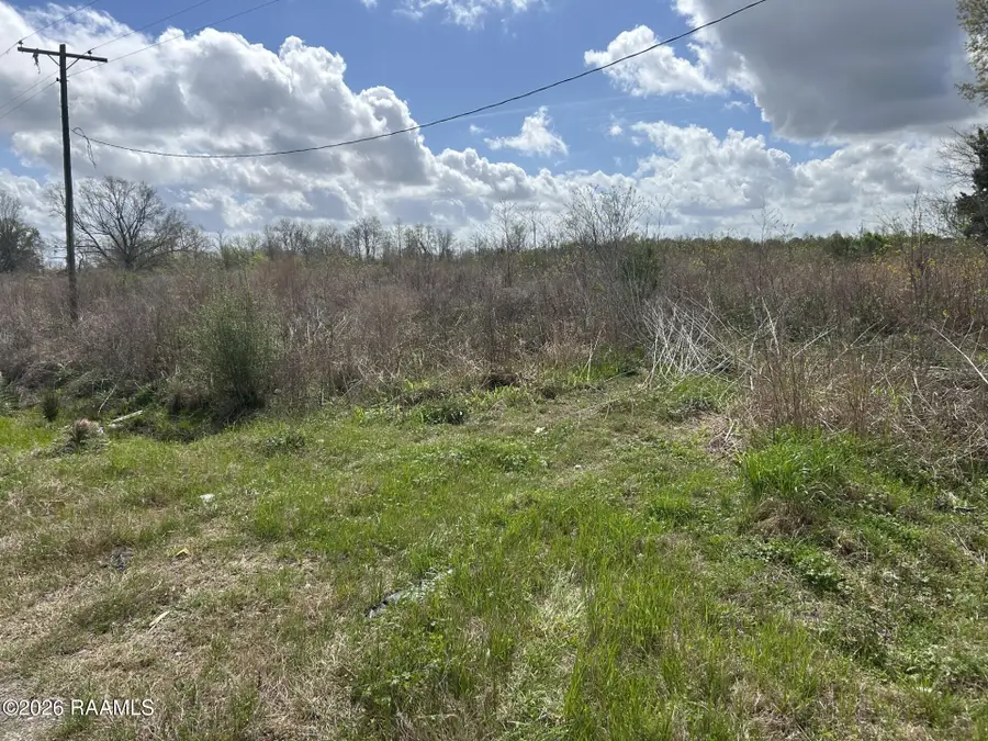 Tbd Pine Point Road, Ville Platte, LA 70586 - #3