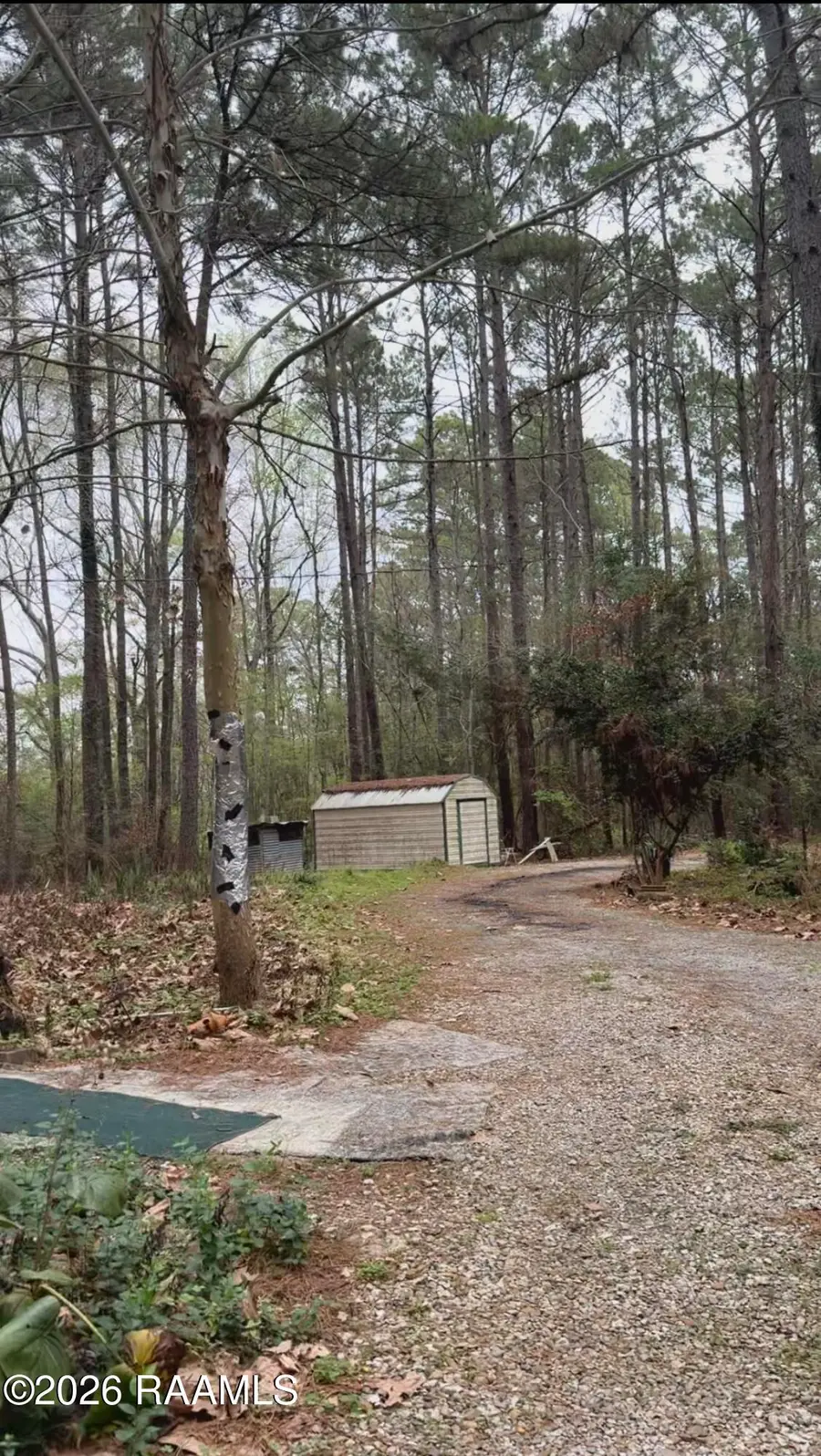 1245 Louisiana 13, Eunice, LA 70535 - #2