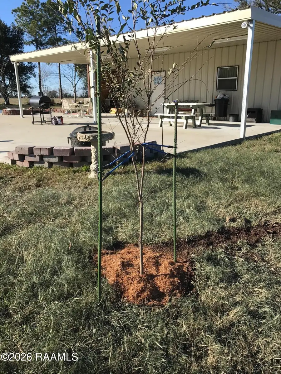 303 Pioneer Lane, Rayne, LA 70578 - #3