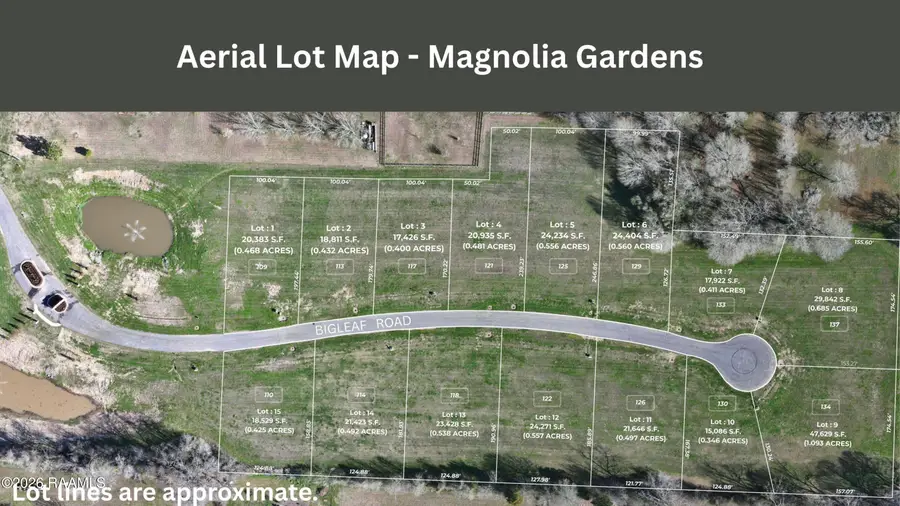 133 Bigleaf, Carencro, LA 70520 - #2