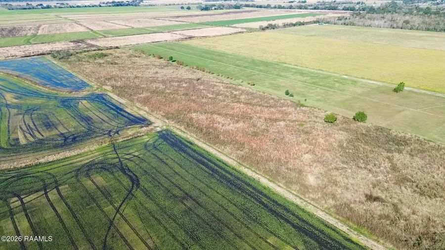 1049 Gravot Road, Iota, LA 70543 - #3