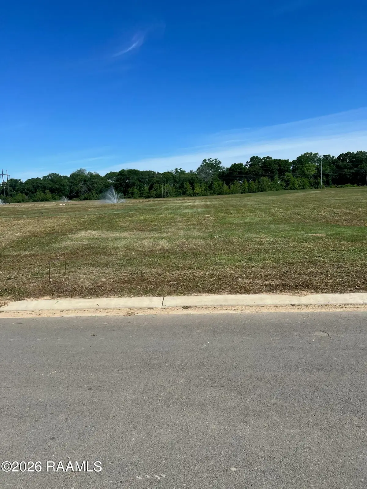 201 Castle Vine Way, Lafayette, LA 70508 - #1