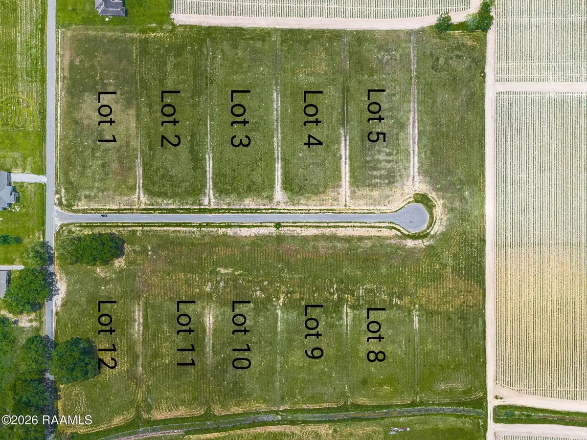 3907 Chemin Belle Terre, Maurice, LA 70555 - #1