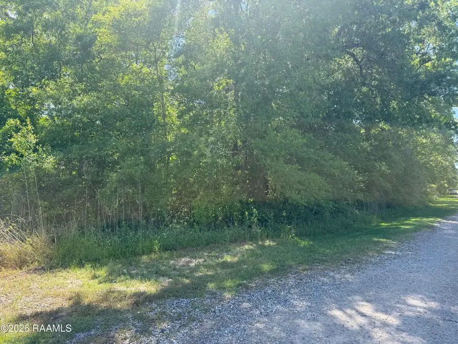 Tbd Three Mile Avenue, Port Barre, LA 70577 - #2
