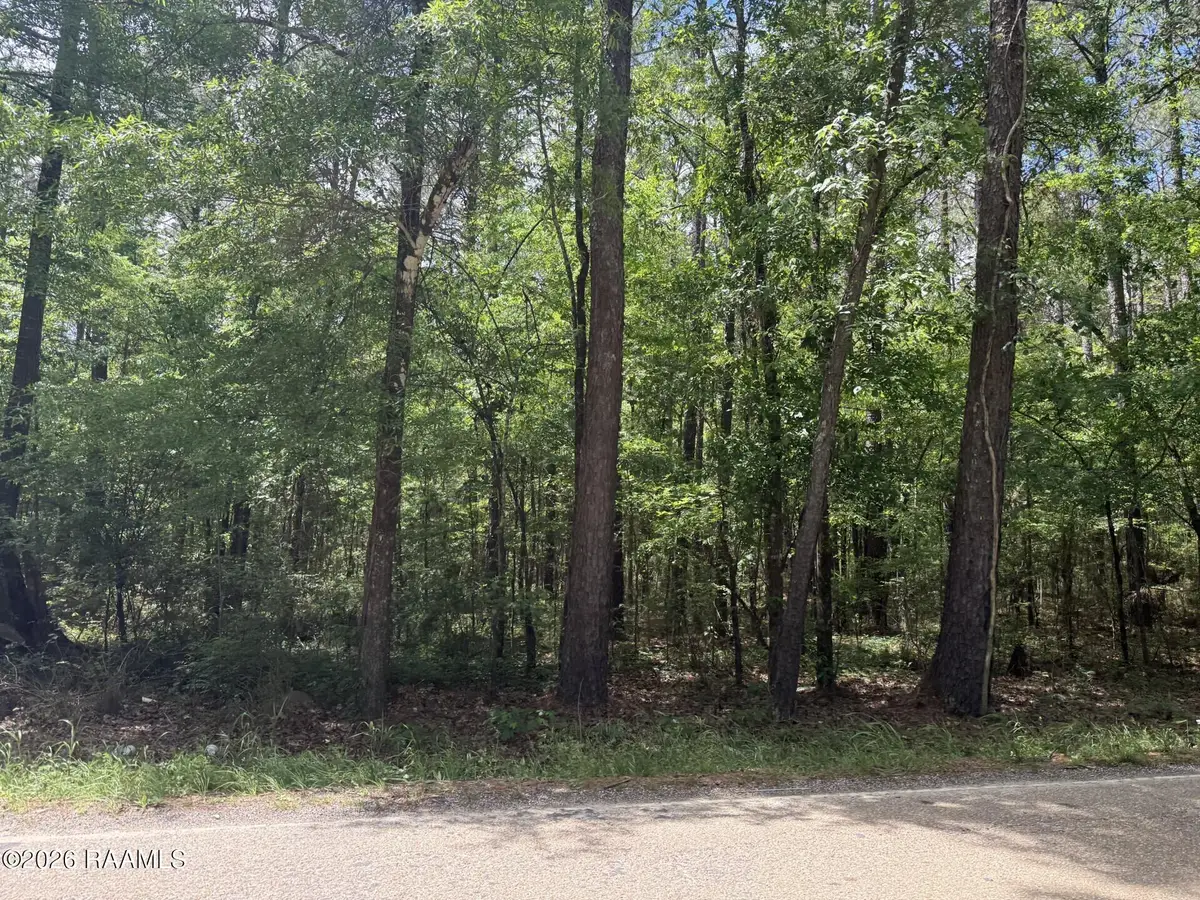 Tbd Oakdale Tracts 1 & 3 Road, Oakdale, LA 71463 - #1