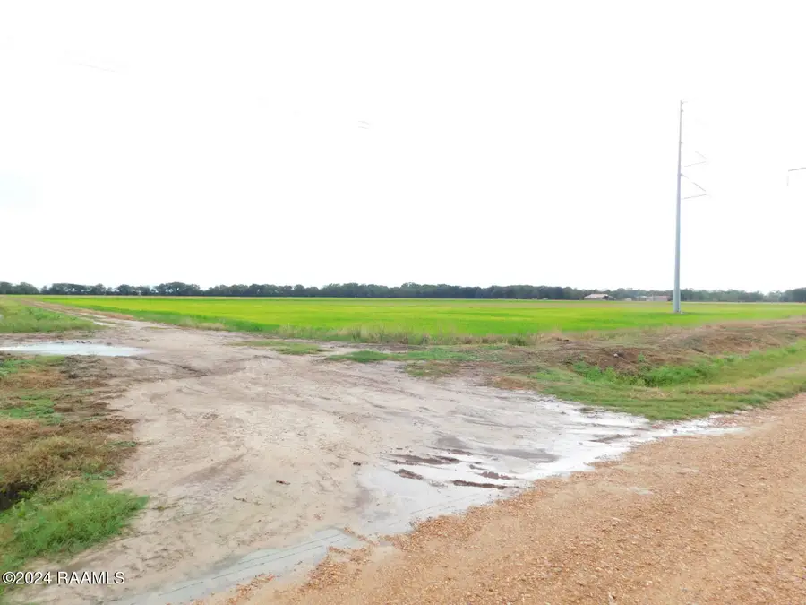 000 Gumpoint Road #Lot 4-A, Branch, LA 70516 - #2