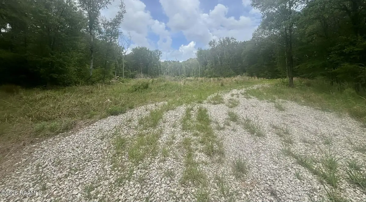 1021 Lanse De Deshotel Road, Eunice, LA 70535 - #1