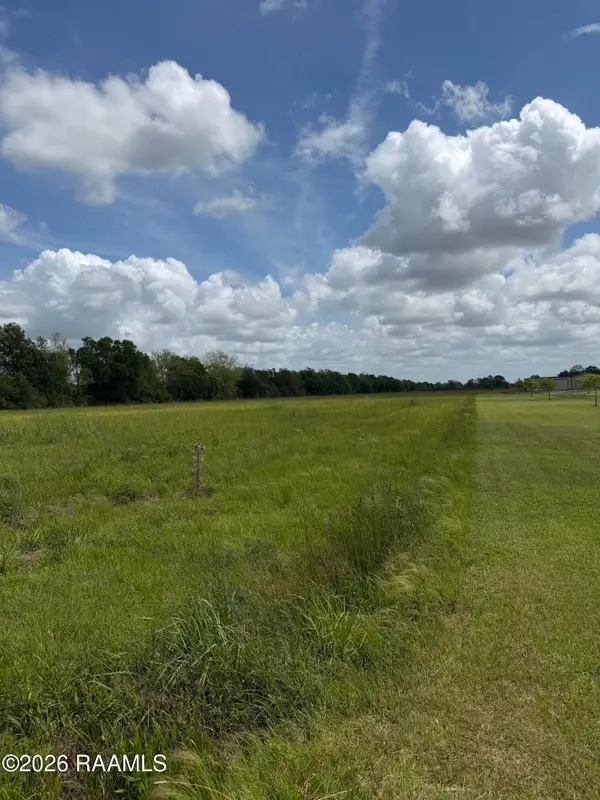 Tbd Roy Foreman Road, Maurice, LA 70555
