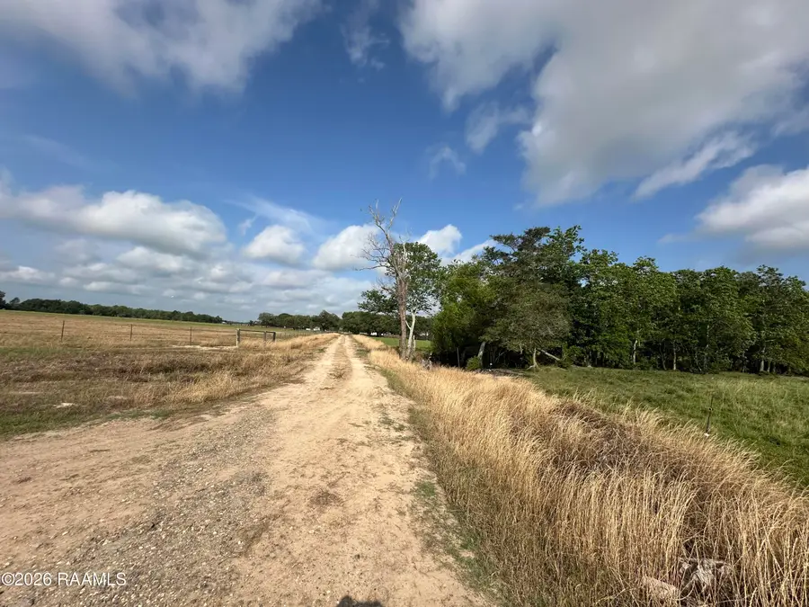 35 Ac Howard Road, Iota, LA 70543 - #2